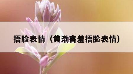 捂脸表情（黄渤害羞捂脸表情）