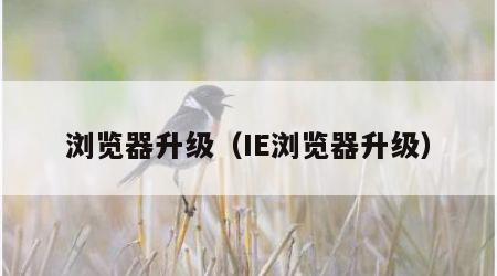 浏览器升级（IE浏览器升级）