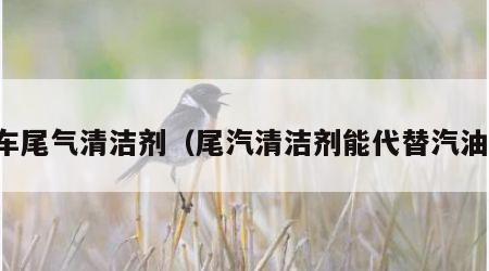 汽车尾气清洁剂（尾汽清洁剂能代替汽油吗）