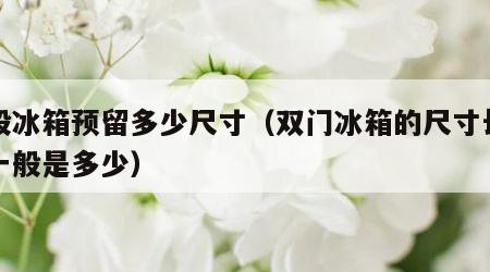 一般冰箱预留多少尺寸（双门冰箱的尺寸长宽高一般是多少）