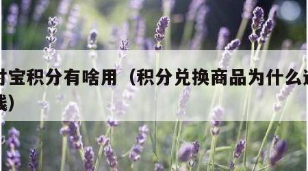 支付宝积分有啥用（积分兑换商品为什么还要付钱）