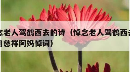 悼念老人驾鹤西去的诗（悼念老人驾鹤西去的诗句慈祥阿妈悼词）