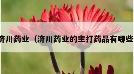 济川药业（济川药业的主打药品有哪些）