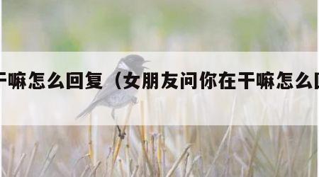 在干嘛怎么回复（女朋友问你在干嘛怎么回复）