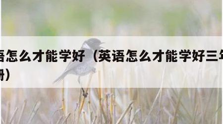英语怎么才能学好（英语怎么才能学好三年级上册）