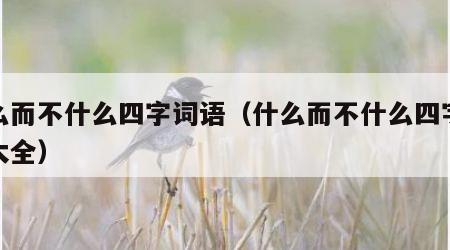 什么而不什么四字词语（什么而不什么四字词语大全）