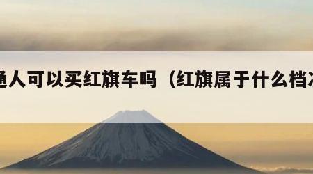 普通人可以买红旗车吗（红旗属于什么档次的车）