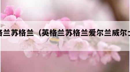 英格兰苏格兰（英格兰苏格兰爱尔兰威尔士关系）