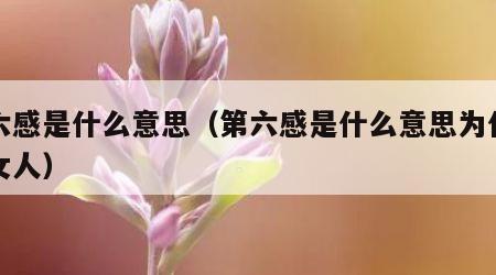 第六感是什么意思（第六感是什么意思为什么说女人）