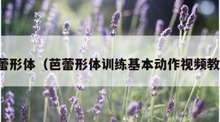 芭蕾形体（芭蕾形体训练基本动作视频教程）