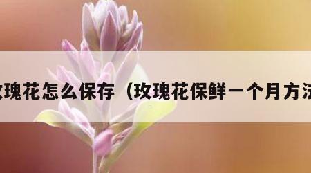 玫瑰花怎么保存（玫瑰花保鲜一个月方法）