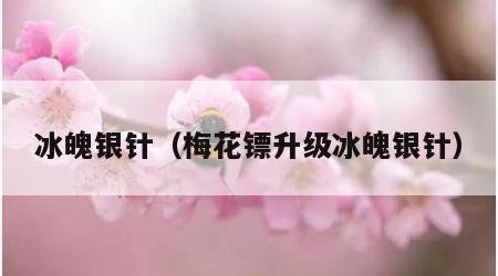 冰魄银针（梅花镖升级冰魄银针）