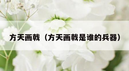 方天画戟（方天画戟是谁的兵器）