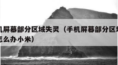 手机屏幕部分区域失灵（手机屏幕部分区域失灵怎么办小米）