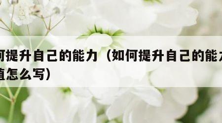 如何提升自己的能力（如何提升自己的能力和价值怎么写）