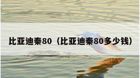 比亚迪秦80（比亚迪秦80多少钱）