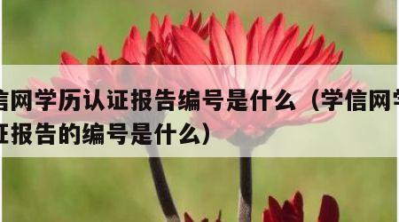 学信网学历认证报告编号是什么（学信网学历认证报告的编号是什么）