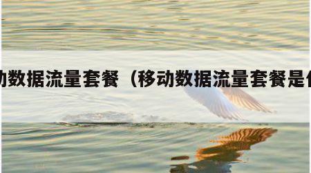 移动数据流量套餐（移动数据流量套餐是什么）