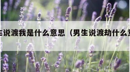 男生说渡我是什么意思（男生说渡劫什么意思）