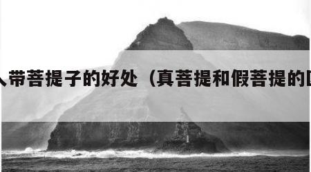女人带菩提子的好处（真菩提和假菩提的区别）