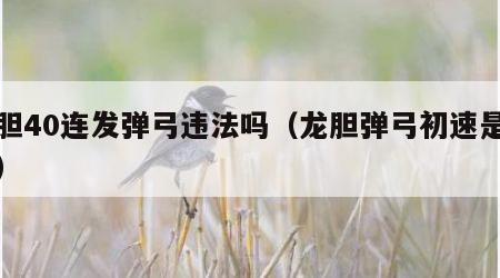 龙胆40连发弹弓违法吗（龙胆弹弓初速是多少）
