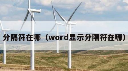 分隔符在哪（word显示分隔符在哪）