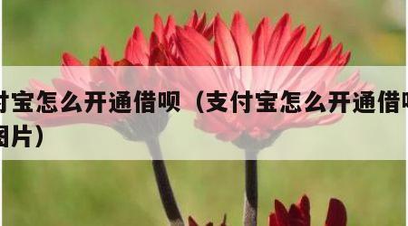 支付宝怎么开通借呗（支付宝怎么开通借呗功能图片）