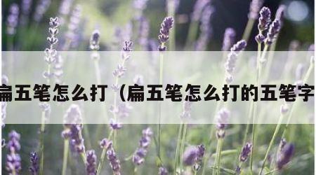 扁五笔怎么打（扁五笔怎么打的五笔字）