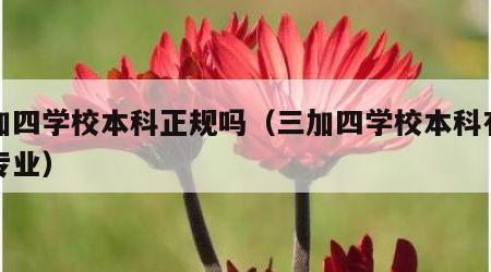 三加四学校本科正规吗（三加四学校本科有什么专业）