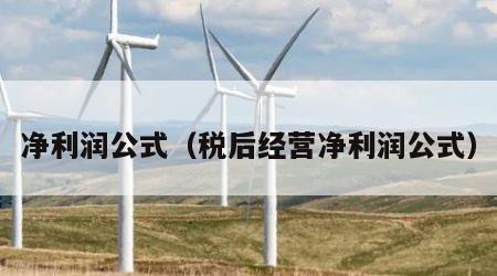净利润公式（税后经营净利润公式）