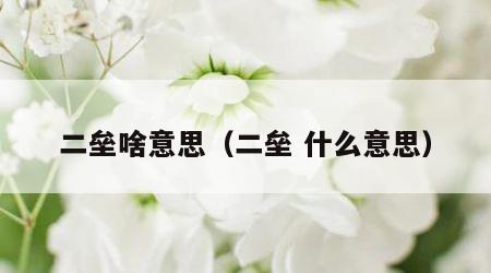 二垒啥意思（二垒 什么意思）