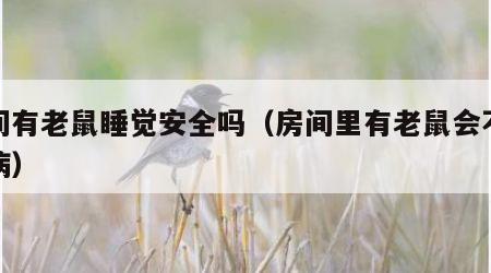 房间有老鼠睡觉安全吗（房间里有老鼠会不会得病）