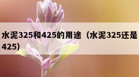 水泥325和425的用途（水泥325还是425）