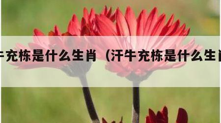 汗牛充栋是什么生肖（汗牛充栋是什么生肖最好）