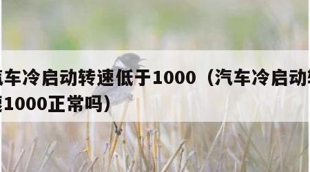 汽车冷启动转速低于1000（汽车冷启动转速1000正常吗）