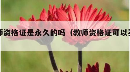 教师资格证是永久的吗（教师资格证可以买吗）