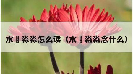 水沝淼淼怎么读（水沝淼淼念什么）