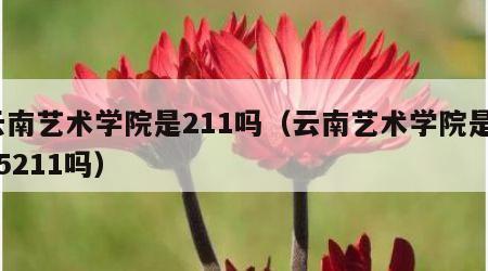 云南艺术学院是211吗（云南艺术学院是985211吗）