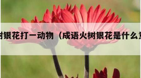 火树银花打一动物（成语火树银花是什么意思）