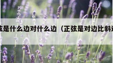 正弦是什么边对什么边（正弦是对边比斜边吗）