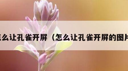 怎么让孔雀开屏（怎么让孔雀开屏的图片）