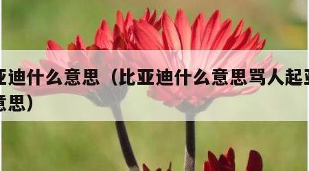 比亚迪什么意思（比亚迪什么意思骂人起亚什么意思）