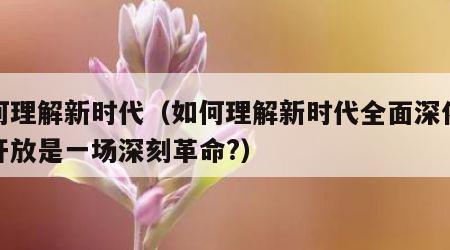 如何理解新时代（如何理解新时代全面深化改革开放是一场深刻革命?）