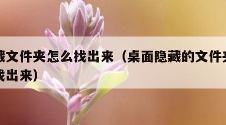 隐藏文件夹怎么找出来（桌面隐藏的文件夹怎么找出来）