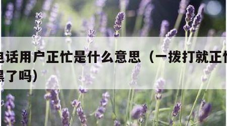 打电话用户正忙是什么意思（一拨打就正忙是拉黑了吗）