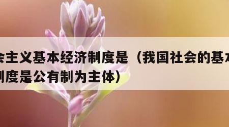 社会主义基本经济制度是（我国社会的基本经济制度是公有制为主体）