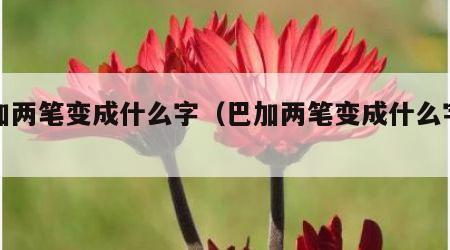 巴加两笔变成什么字（巴加两笔变成什么字儿）