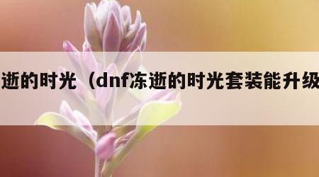 冻逝的时光（dnf冻逝的时光套装能升级吗）