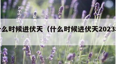 什么时候进伏天（什么时候进伏天2023年）