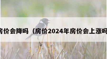 房价会降吗（房价2024年房价会上涨吗）